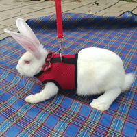 Harnais de poitrine en maille style gilet pour petits animaux (lapin, chien, chat) – Modèle Totoro