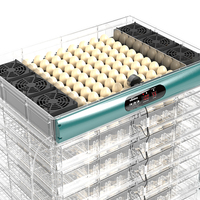 Incubateur d'œufs automatique à prix d'usine, machine à couver 160 œufs de poule, neuve en PP pour oiseaux, oies, canards, pigeons, cailles, taux d'éclosion de 98%