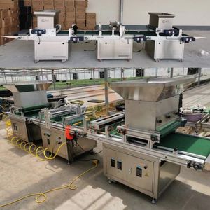 Máquina <span class=keywords><strong>de</strong></span> siembra <span class=keywords><strong>de</strong></span> bandejas agrícolas Máquina automática <span class=keywords><strong>de</strong></span> semillas <span class=keywords><strong>de</strong></span> bandejas <span class=keywords><strong>para</strong></span> plantar semillas en bandeja <span class=keywords><strong>de</strong></span> plántulas - Product Image 5