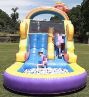 Toboggan aquatique gonflable professionnel en PVC, idéal pour les fêtes en extérieur et la location commerciale, personnalisable – Meilleures ventes