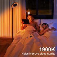 Lampe sur pied moderne à LED orientable avec télécommande, intensité réglable, hauteur ajustable, lampe circulaire multifonctionnelle pour salon et chambre à coucher