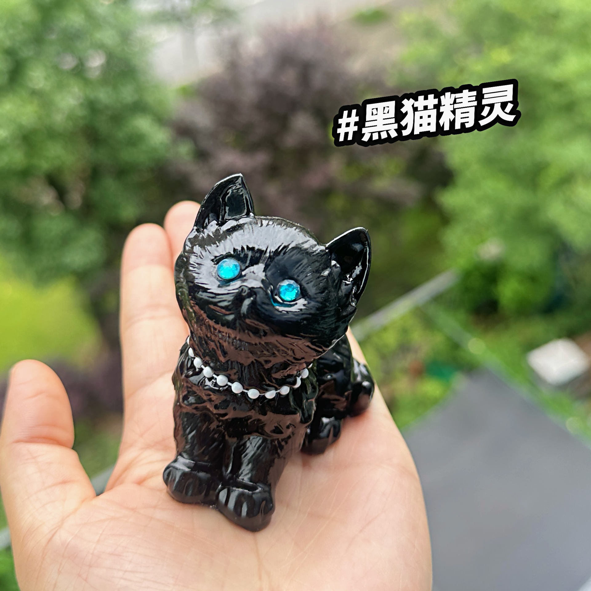 Black cat
