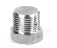 Bouchon fileté en acier inoxydable SS304 hexagonal NPT