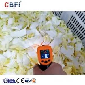 Industrieller hochwertiger gefrorener Fisch Iqf Tunnel Blast Freezer Iqf Tunnel Freezer Cheese