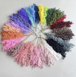 Fiori Secchi di Felce Ming, Asparagus Felice Naturale Essiccato e Conservato per Decorazioni di Matrimoni, Natale, Laurea e Capodanno Cinese - Product Image 1