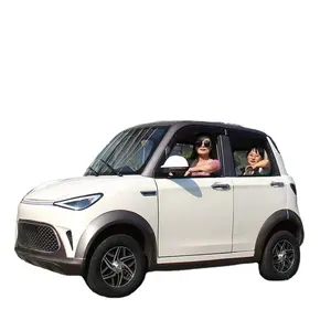 Hot selling genius model mini electric cars from factory