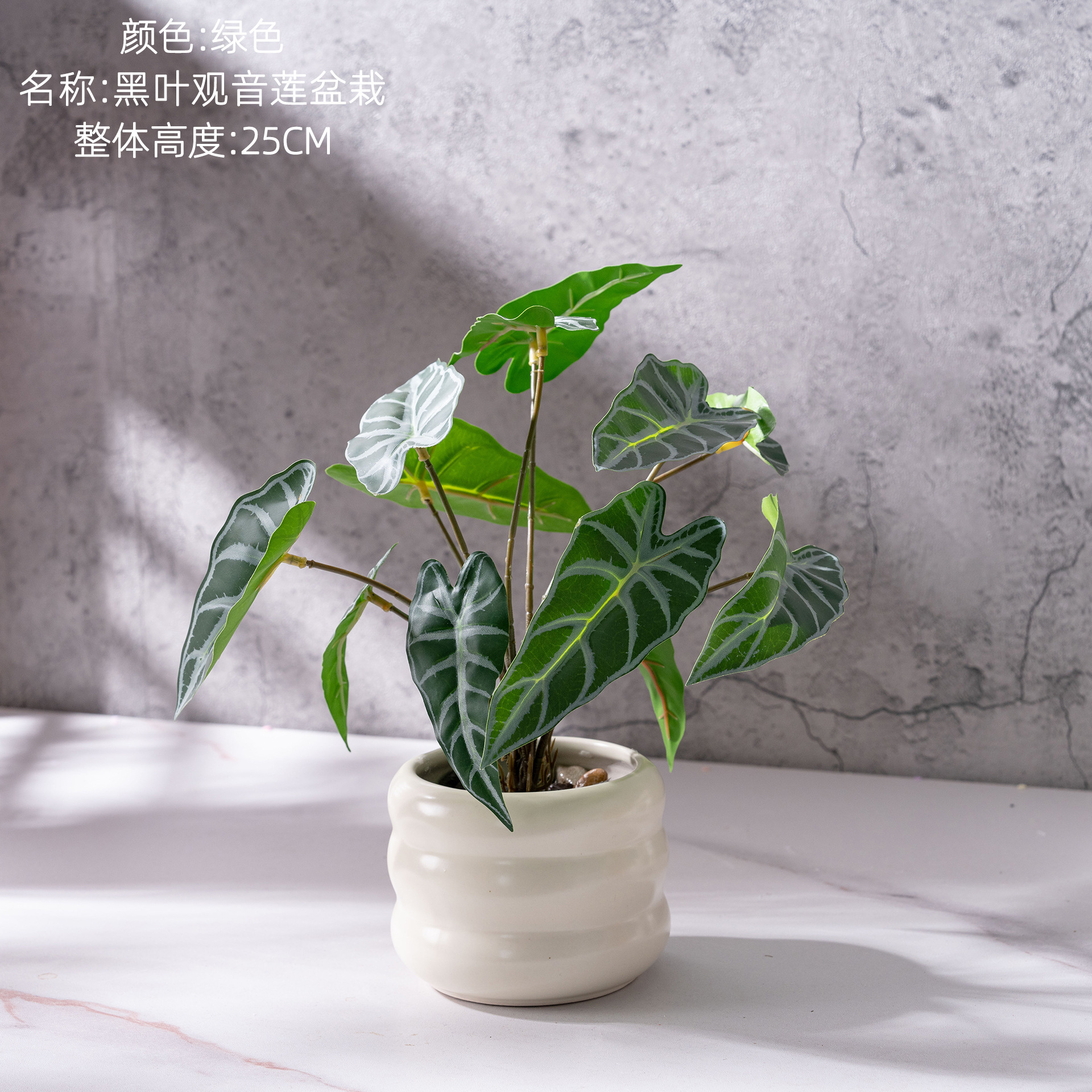 Plante en pot Alocasia à feuilles noires