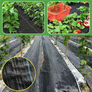 Rollo de 100m de Malla Antihierbas de Plástico para Agricultura, Directo de Fábrica <span class=keywords><strong>CHAQ</strong></span>, Cubierta para el Suelo, Corte de 70-120g - Product Image 6