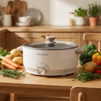 Casserole électrique multifonctionnelle, facile à nettoyer, chauffe rapidement, antiadhésive, avec couvercle en verre trempé