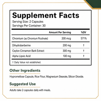Capsules de dihydroberbérine pour le bien-être métabolique quotidien, l'utilisation énergétique et la routine nutritionnelle avec cannelle – Fournisseur en marque blanche