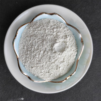 Ciment Portland Blanc Brillant Moderne pour Projets Artistiques - Résistant aux Acides, Durcissement Extra Rapide, Grades de Résistance 42.5/52.5MPa, Fournisseur en Gros