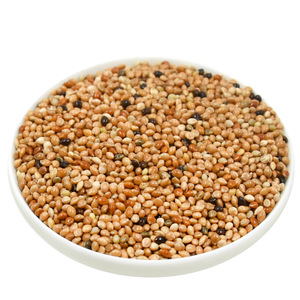 Nourriture pour oiseaux au millet mélangé cinq couleurs, 500g, pour petits et moyens perroquets, perruches, calopsittes, oiseaux pivoines - Product Image 4