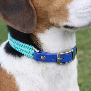 <span class=keywords><strong>Collar</strong></span> de Perro Ajustable con Correa de PVC Resistente y Elegante, Hecho a Mano, con Adaptador de Paracord y Hebilla Niquelada - Product Image 2