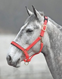 Harnais d'équitation haut de gamme avec construction en corde de cuir, doublure en polaire douce, tête réglable, finition couleur personnalisée - Product Image 3