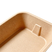 Bac à litière rectangulaire jetable pour chat, en pulpe biodégradable, anti-fuite, sans lavage, portable, pour voyage, logo personnalisé