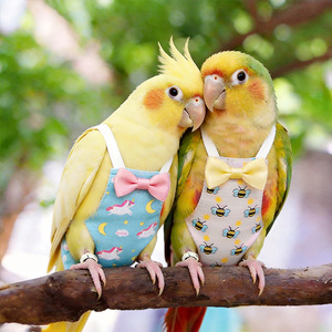 Pañal Arnés para Pájaros al por Mayor y Dropshipping, Pañal de Vuelo para Exteriores para Agapornis y Periquitos con Lazo, Ropa para Animales Pequeños - Product Image 3