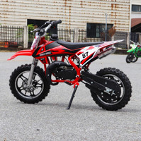 Mini Motocicleta Real de 10 Pulgadas con Ruedas Grandes, 49cc, 2 Tiempos, para Niños Pequeños, de Gasolina