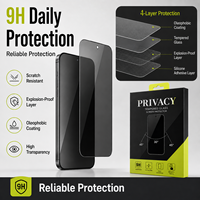 Protection d'écran en verre trempé anti-espion à 30 degrés pour iPhone 12 13 14 15 16 Mini Pro Max Plus SE XR 11