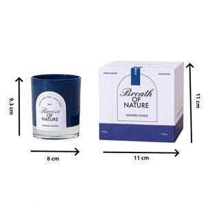 Vela perfumada de cera de soja Punday Breath Of Nature en frasco de vidrio, decoración minimalista para el hogar, aromaterapia, fragancia floral y vegetal - Product Image 2