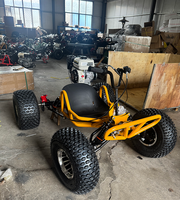 Buggy de Carreras para Adultos de 212cc y 4 Tiempos a Gasolina con Chasis de Alta Resistencia para Diversión en Parques de Atracciones al Aire Libre, Go Kart