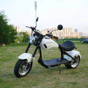Scooter électrique tout-terrain homologué CE pour adultes, pneus larges, suspension hydraulique, scooter de mobilité urbaine pour le marché européen - Product Image 6