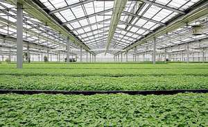 नर्सरी के साथ हाइड्रोपोनिक स्वचालित प्रणाली के लिए नई शैली सौर ग्रीनहाउस - Product Image 5