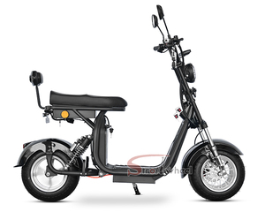 Motocicleta Mini para Adultos, Motor de 1000W - Product Image 6