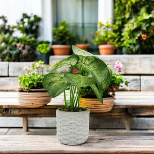 Ensemble de petits pots artificiels en céramique émaillée de style européen avec mini plantes en pot pour la décoration de sol de jardin de table de bureau de <span class=keywords><strong>maison</strong></span> - Product Image 2