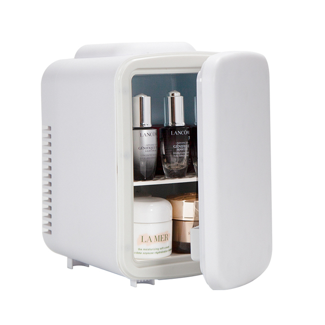 Small Portable Car Refrigerator Mini Freezer 12V 110V 4L Fridge Camping Beauty Fridge