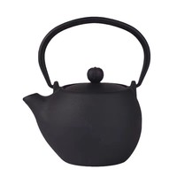 Théière en fonte de style japonais moderne de 300 ml, mini service à thé Kung Fu, écologique, pour usage domestique, ornement en métal coloré