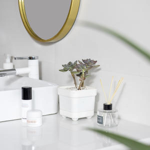 C296 Large Small Ground Water <strong>Storage</strong> Thickened Succulent Square Four-Legged <strong>Plastic</strong> Flower - Product Image 4