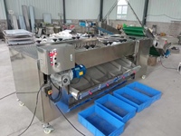 Volledig automatische rollen sorteermachine voor aardappelen, wortelen, uien, appels en andere groenten en fruit.