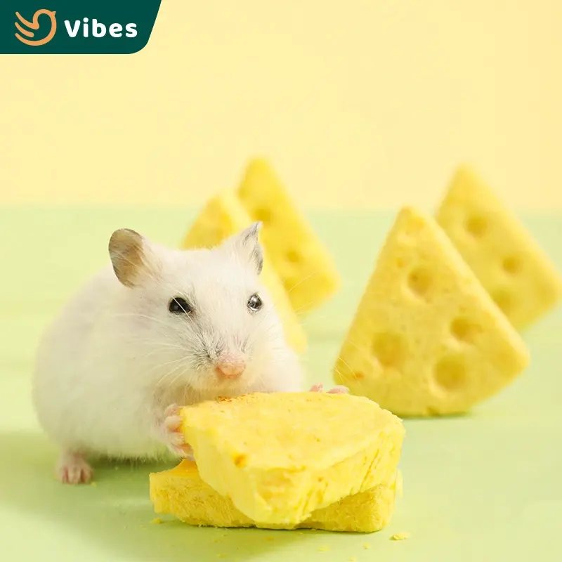 Southeast Asia Special Freeze-dried Small Animal Food Hamster Cheese Snacks Food For Guinea Pig