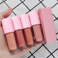 Lápiz Labial Líquido Mate Brillante de Larga Duración, Color Rojo Transparente, Marca Privada, Vegano, Resistente al Agua, Hidratante, Certificado Halal, Maquillaje Diario