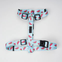 Harnais réglable pour chien, ceinture de sublimation, gilet de harnais pour chien, harnais martingale, accessoires pour harnais de chien, ensemble de harnais pour animaux de compagnie, produit pour animaux de compagnie