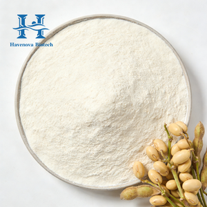 Poudre de <span class=keywords><strong>Natto</strong></span> Biologique en Gros, Extrait de Soja Fermenté Nattiase, Poudre d'Extrait de <span class=keywords><strong>Natto</strong></span> Biologique avec Livraison Rapide - Product Image 1