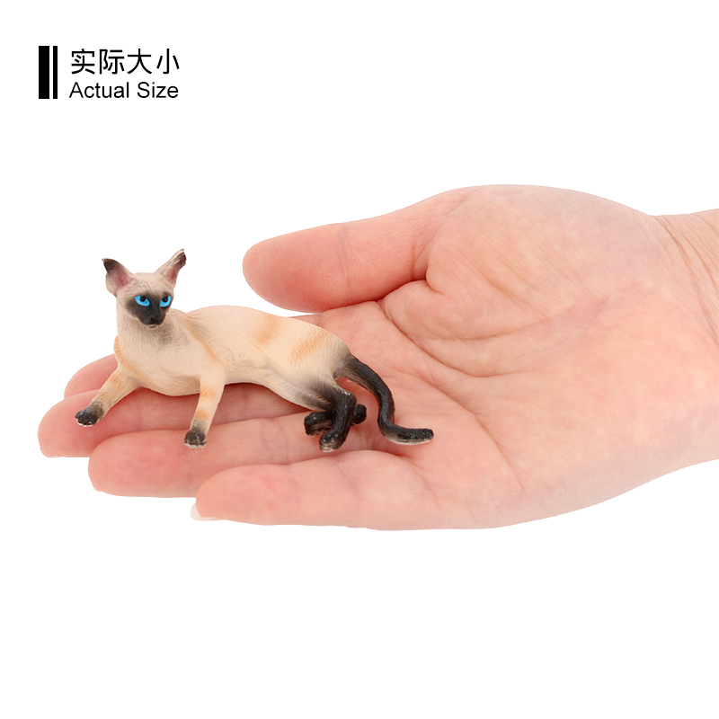 3638 Gatto siamese