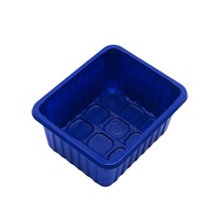 Plateau d'emballage en silicone pour champignons, boîte, palette de coquillage