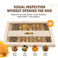 Équipement d'apiculture : Couvercle intérieur de ruche en acrylique transparent avec cadre en bois de pin pour un contrôle visuel de la colonie d'abeilles