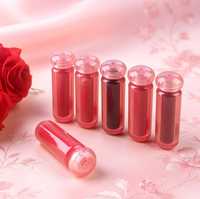 Nouvelle Tendance Nouvelle Formule Gloss à Lèvres Vegan Brillant Mat Non Transférable Imperméable Longue Tenue Marque Privée