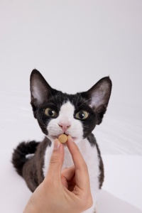 Suplemento Masticable para Eliminar Bolas de Pelo de Gato, Neutraliza Alérgenos Fel D1/D2/D4/D7, Mejora el <span class=keywords><strong>Sistema</strong></span> Digestivo, OEM - Product Image 3