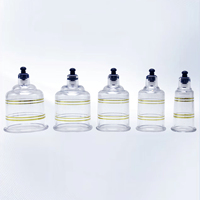 Ensemble de ventouses professionnelles de qualité supérieure pour thérapie Hijama avec pompe, en matériau PC transparent, pour bienfaits amincissants sur le corps