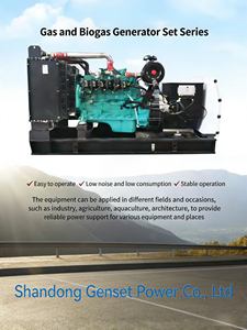 20-<span class=keywords><strong>500kW</strong></span> 1MW 소형 바이오가스 발전기 원격 시동 DC 구동 터빈 - Product Image 4