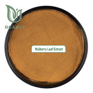 Iso מוסמך מכירה חמה 100% תמצית עלים אורגני טבעי אבקת תות עבור סוכרת - Product Image 2