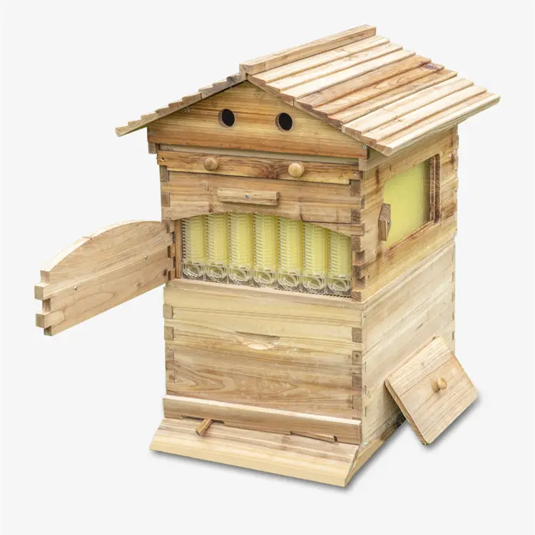 7 Khung Animal Husbandry Thiết Bị Nghề Nuôi Ong Miễn Phí Langstroth Dadant Bằng Gỗ Tự Động Bee Flow Hive Box Tổ Ong Khách Sạn Nhà