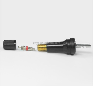 Pièces <span class=keywords><strong>de</strong></span> rechange automatiques TPMS-29 <span class=keywords><strong>de</strong></span> <span class=keywords><strong>valve</strong></span> <span class=keywords><strong>de</strong></span> <span class=keywords><strong>pneu</strong></span> matériau en laiton <span class=keywords><strong>capteur</strong></span> <span class=keywords><strong>de</strong></span> <span class=keywords><strong>pression</strong></span> des pneus tige <span class=keywords><strong>de</strong></span> <span class=keywords><strong>valve</strong></span> pour voiture universelle NISSAN PATROL - Product Image 5