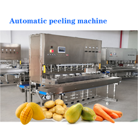 2000 Kg/u Industriële Mango Schilmachine Volautomatische Intelligente Fruit-En Groenteschilmachine