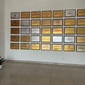 Congelatore Orizzontale OEM/ODM da 289L, Grande Formato Adatto per Uso Domestico e Commerciale, Armadio per Congelamento Profondo a Doppio Uso - Product Image 6