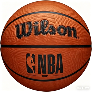 Ballon de basket-ball <span class=keywords><strong>Wilson</strong></span> Evolution pour hommes (29,5 po) - Taille et poids officiels - Product Image 1