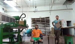 Machine de moulage de pâte à papier de marque Fuyuan d'occasion, 31 kW, pour la production de barquettes à œufs et de cartons pour les petites entreprises, utilisation <span class=keywords><strong>en</strong></span> élevage de poulets - Product Image 3